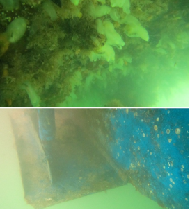 高壓清洗機(jī),進(jìn)口高壓清洗機(jī),高壓清洗機(jī)價(jià)格,超高壓清洗機(jī)